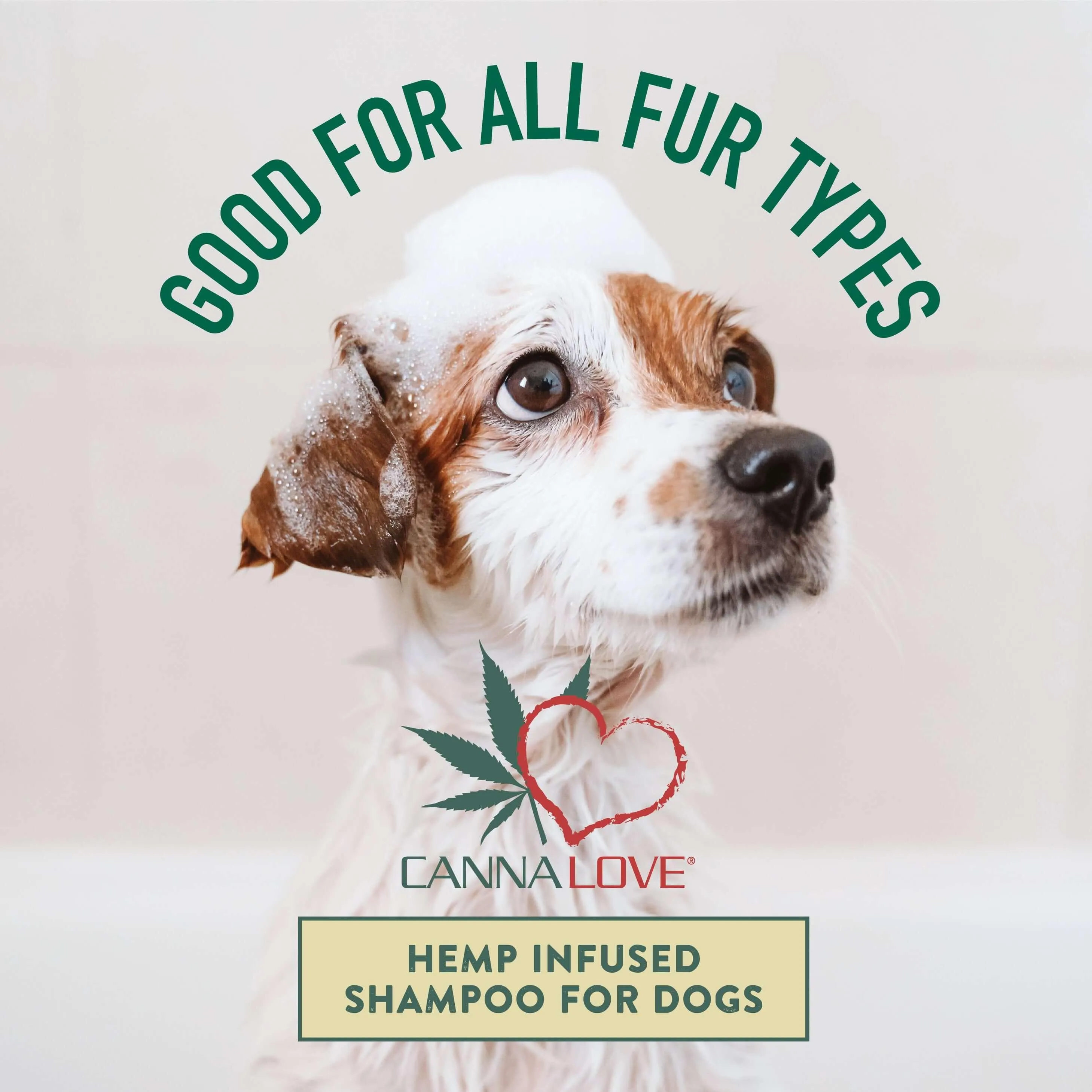 Antimicrobial Shampoo